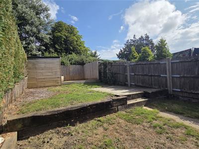 Picture 11